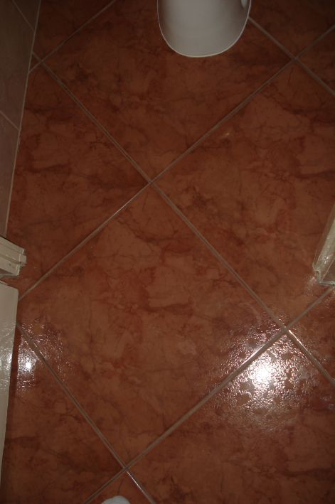 dsc08973.jpg dsc08973.jpg